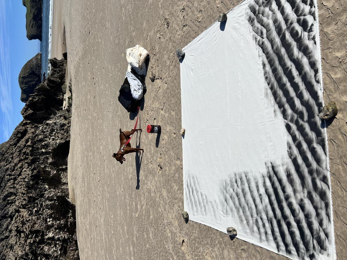 EN IMÁGENES: Las obras del artista sierense Iyán Castaño