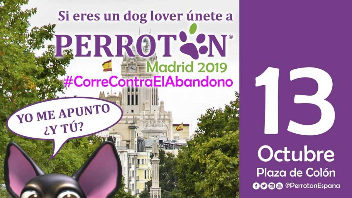 La inscripción a Perrotón 2019 empieza el 15 de abril