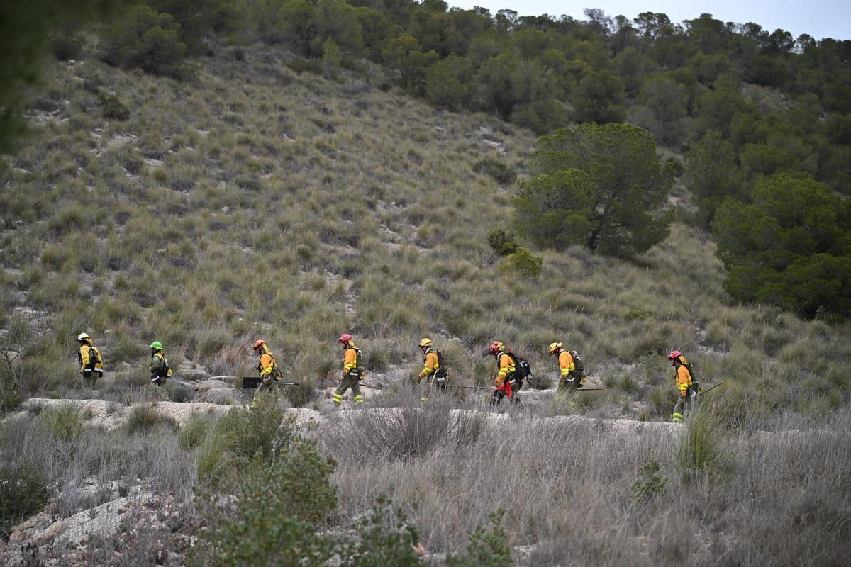 Fuego en Algueña: así está siendo el operativo para la extinción