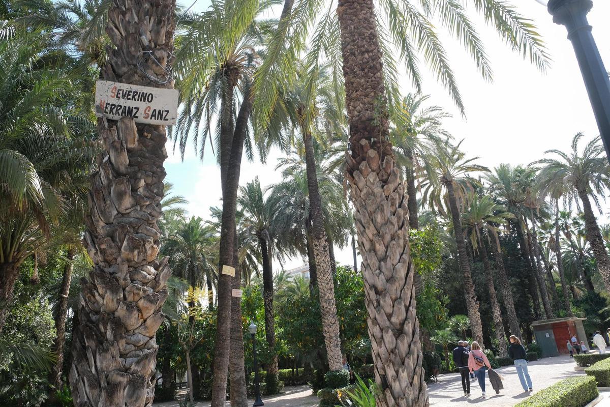 El Parque Municipal de Elche