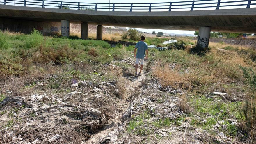 Los ecologistas exigen medidas legales para regenerar el río Vinalopó tras cinco años sin obras