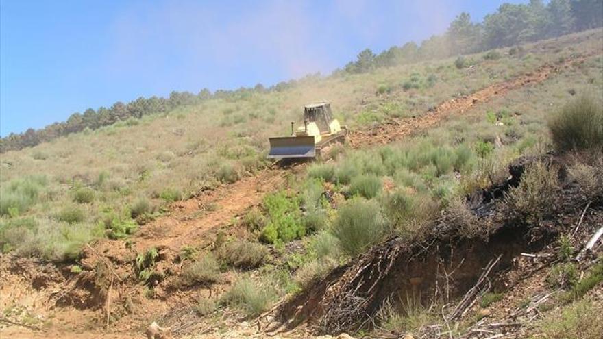 Un taller profesional formará en aprovechamiento forestal