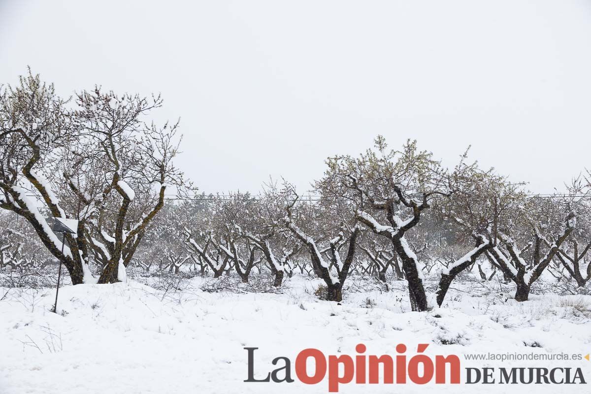 Continúa la nevada en las zonas altas de la comarca del Noroeste