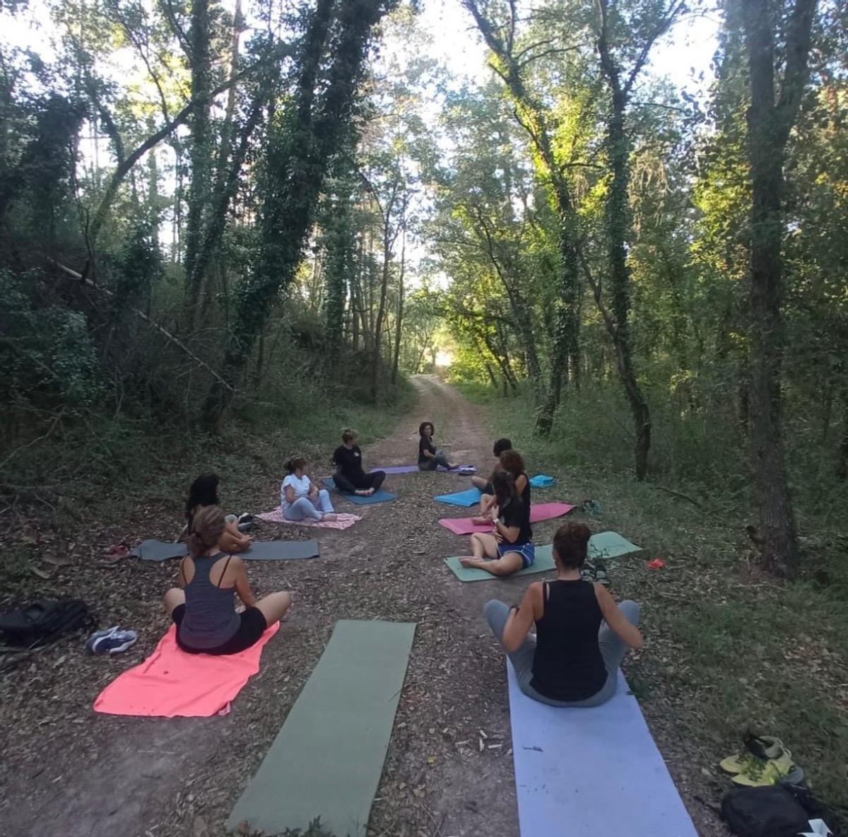 La sessió de ioga al bosc