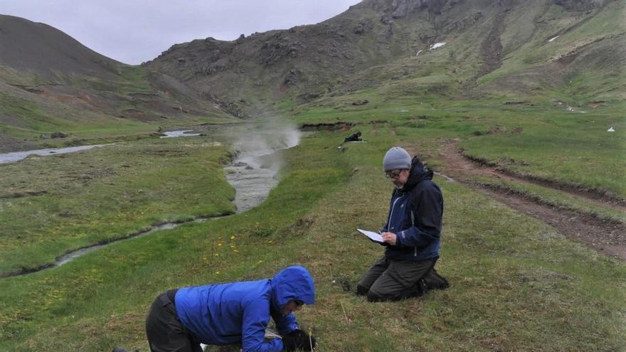 Las plantas pueden adaptarse a los cambios ambientales a pequeña escala, desvelan invetigadores asturianos