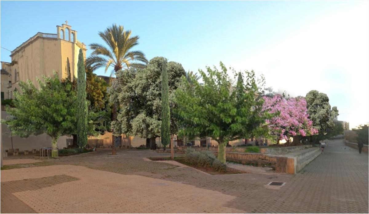 Aspecto que tendrá la plaza tras la replantación.