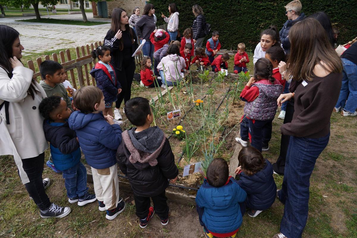Proyecto educativo en el huerto del Campus Viriato Proyecto educativo en el huerto del Campus Viriato