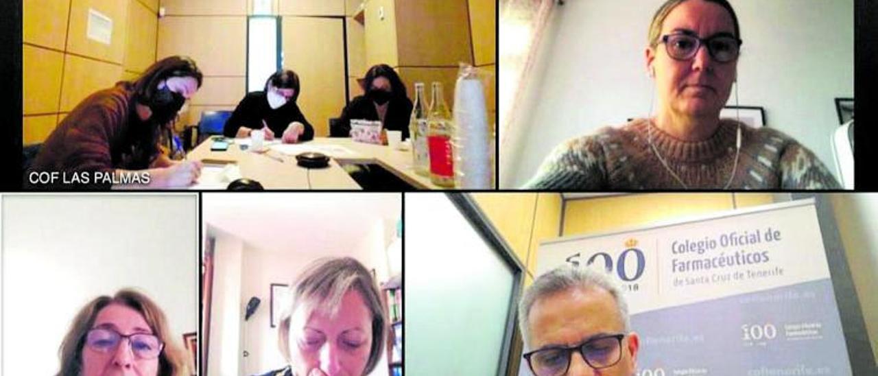 Representantes de la asociación covid persistente Islas Canarias en una reunión por videoconferencia con los colegios de Farmacéuticos de las dos provincias.