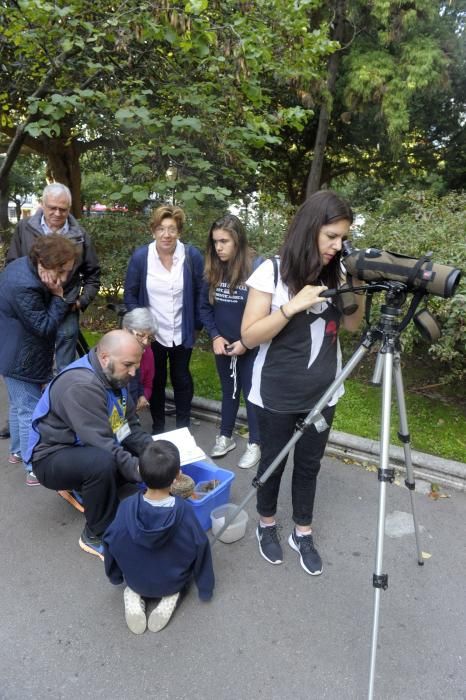 Día Mundial de las Aves en A Coruña