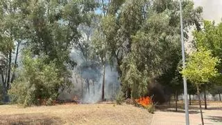 Los Bomberos de Badajoz trabajan en la extinción de un incendio junto a los centros de investigación de la UEx