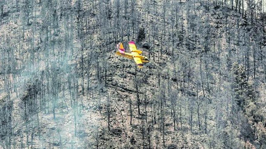 Un hidroavión sobrevuela las zonas quemadas en el reciente incendio forestal de Los Realejos.
