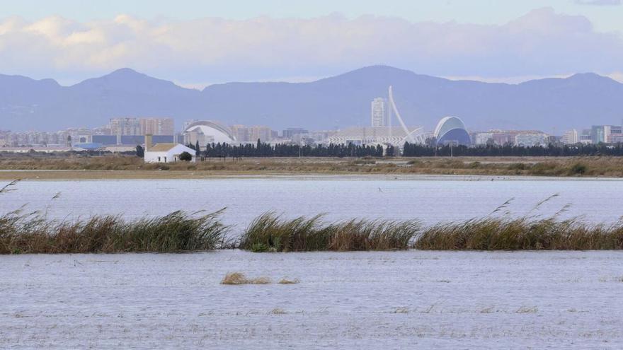 Compuertas de la Gola del Pujol, ayer con fuerte viento de poniente, donde el O se corresponde con 18 cm sobre nivel del mar. El nivel mínimo debería situarse sobre 4,2  al menos, aunque no sería tampoco el óptimo. | FERNANDO BUSTAMANTE