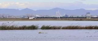 El lago de l’Albufera lleva ya un mes sin el nivel de agua mínimo fijado desde 2018