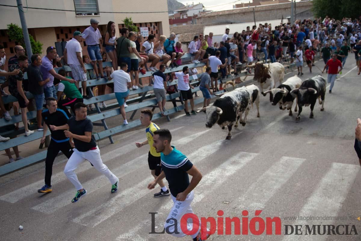 Primer encierro de la Feria del Arroz de Calasparra