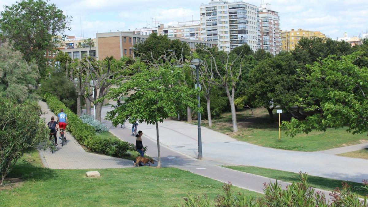 Jardines de la Ciudad de las Artes y las Ciencias.  levante-emv