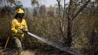Extinguido un incendio forestal en Cartaya mientras siguen activos otros dos fuegos en Huelva