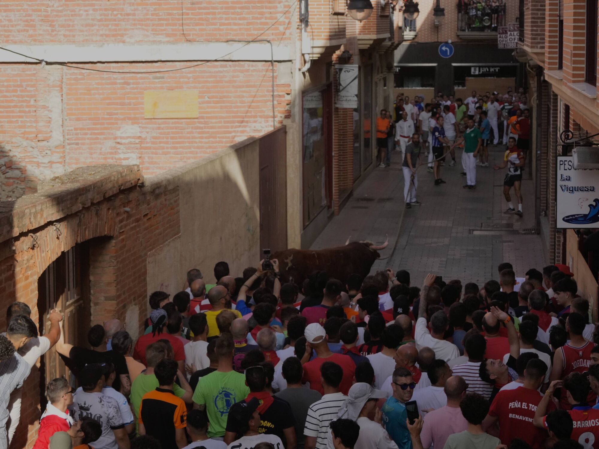 Las imágenes más impactantes del torito del alba de Benavente