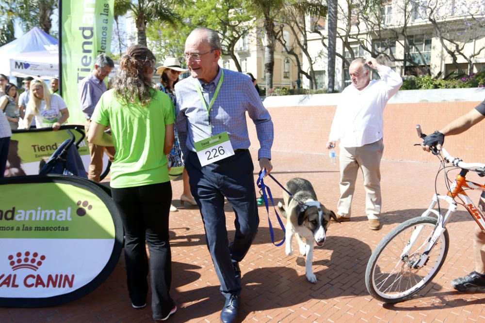 La carrera, con salida y llegada en la plaza de la Marina, ha recorrido la calle Larios, Alcazabilla y calle Granada ante la sorpresa e interés de vecinos y turistas.