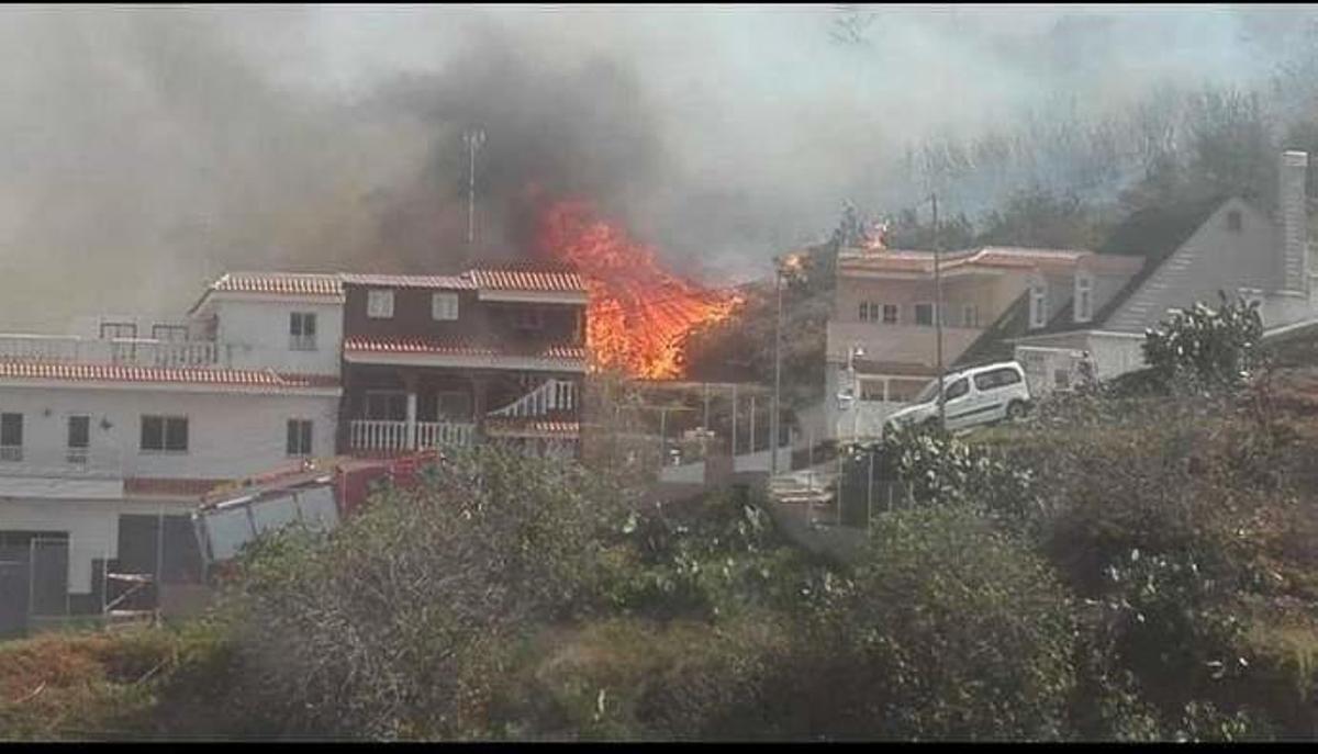 Registran más de 800 incidentes por el viento en Canarias Registran más de 800 incidentes por el viento en Canarias