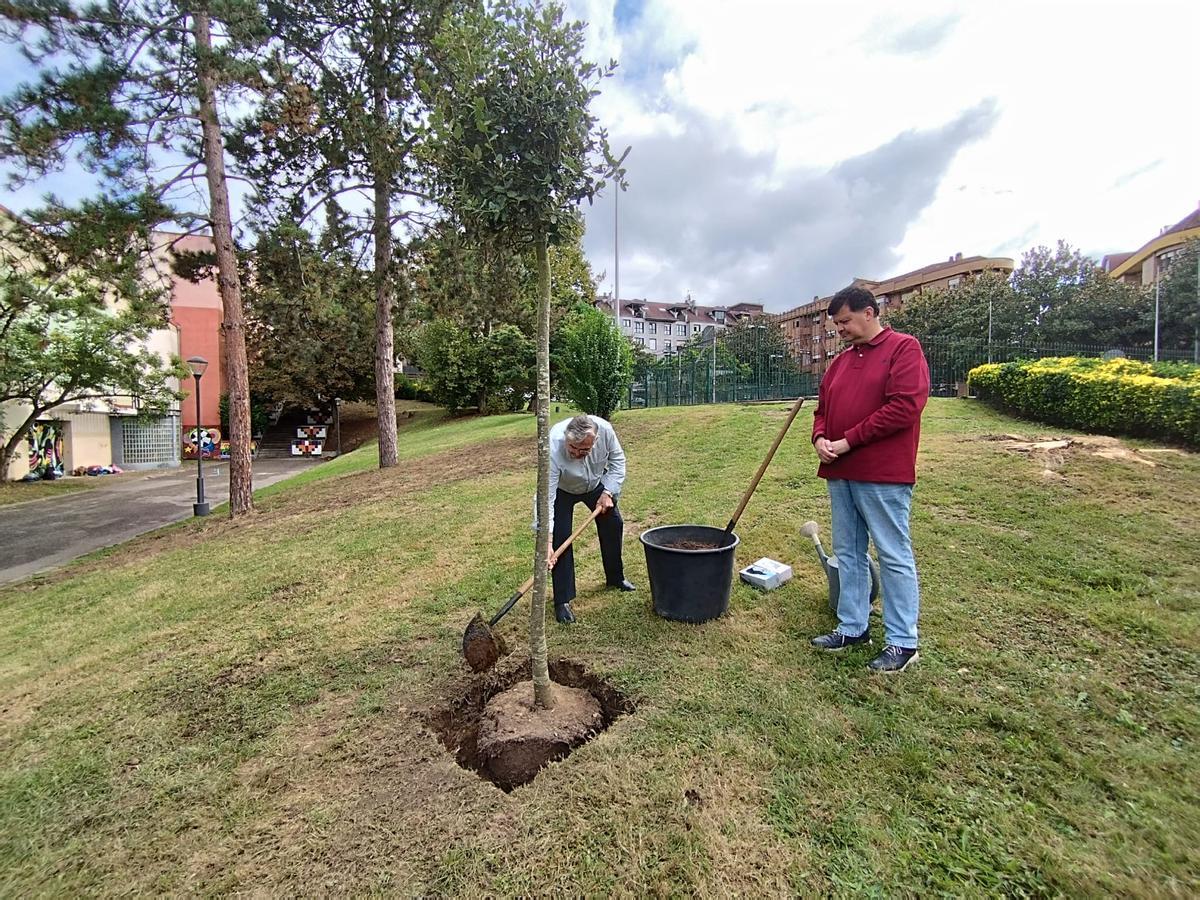 Baragaño plantando su encina junto a Manuel Llaneza, presidente de Langreanos en el Mundo