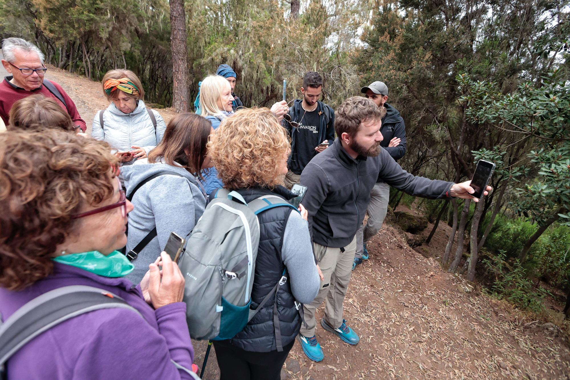 Tercera edición del Biomaratón de Flora Española, en el Parque Recreativo La Caldera, La Orotava