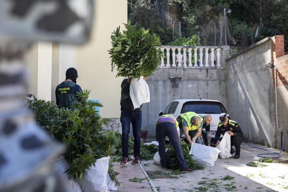 Operació antidroga de la Guàrdia Civil amb epicentre a Vidreres
