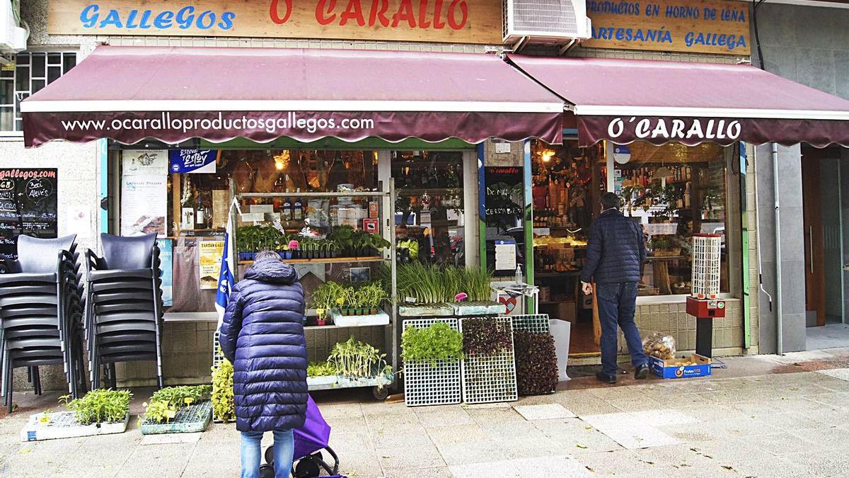 En la tienda de ‘O Carallo’ también se pueden encontrar pimientos de padrón para plantar.   | // E. FILGUEIRA 