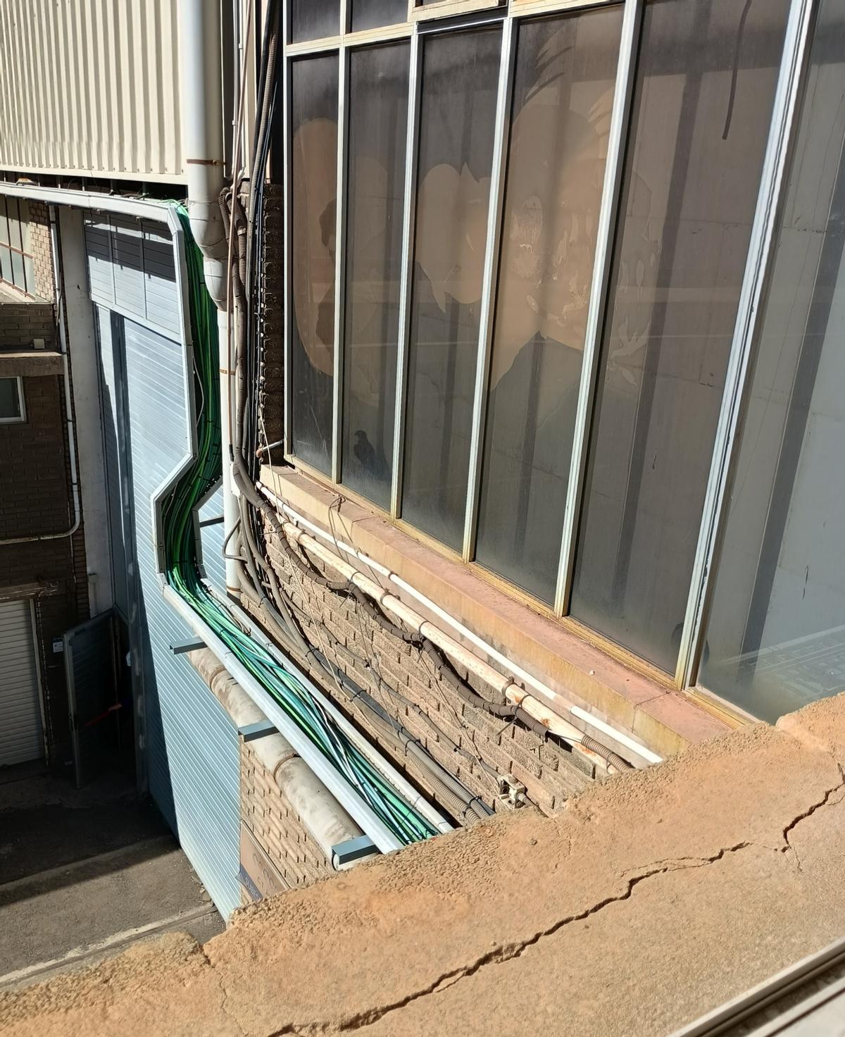 El cernícalo atrapado en la pared de la central térmica de Jinámar.