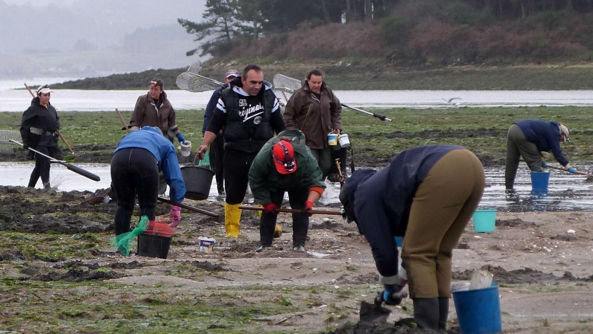 Mariscadores faenando, anos atrás, nun dos bancos marisqueiros de Camariñas.