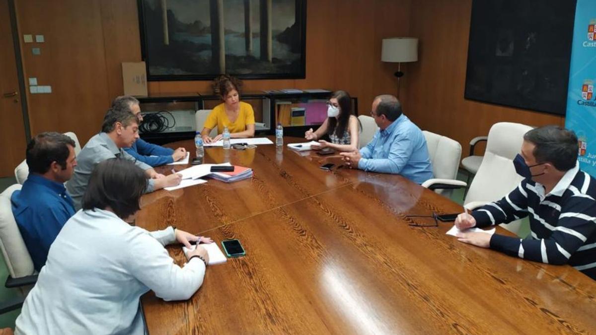 La delegada territorial durante la reunión con los representantes de las OPAS. | JCyL