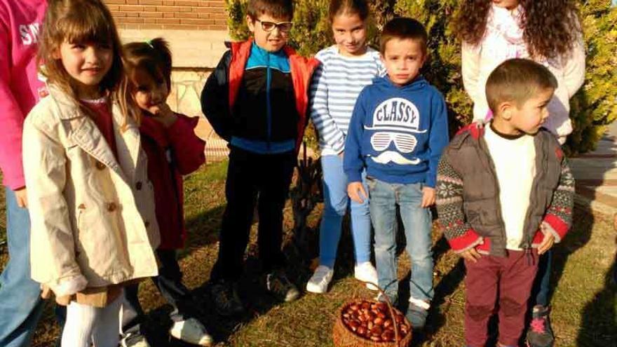 Niños de Aliste exhiben su cesto lleno de castañas tras haber disfrutado recogiéndolas.