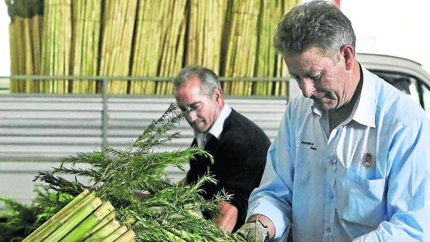 Operarios municipales, ayer, durante la colocación del romero en las cañas.