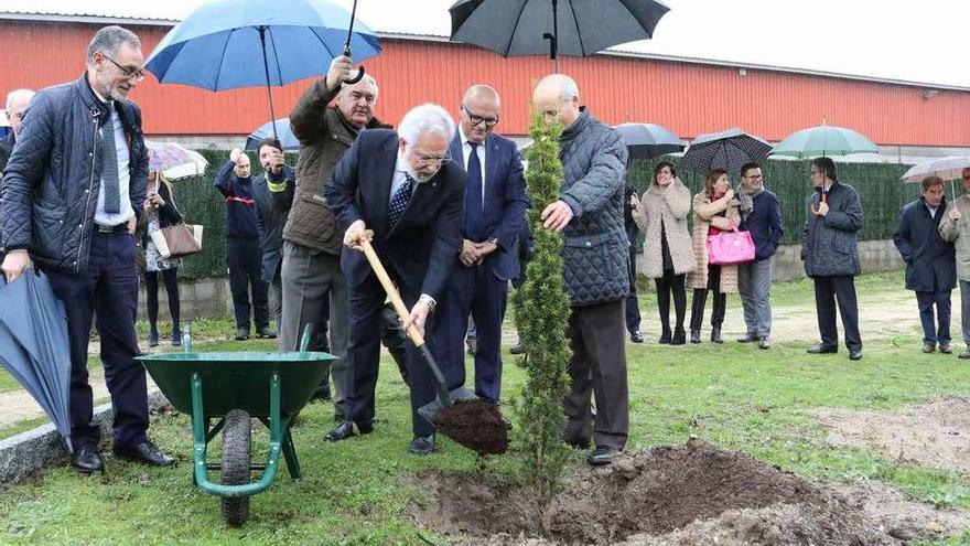 Miguel Ángel Santalices planta un ejemplar en la &quot;Arboreda do Tempo&quot;. // Brais Lorenzo