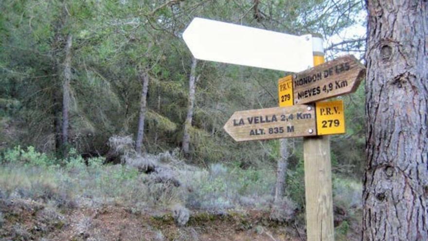 Una imagen de masa forestal en Crevillent