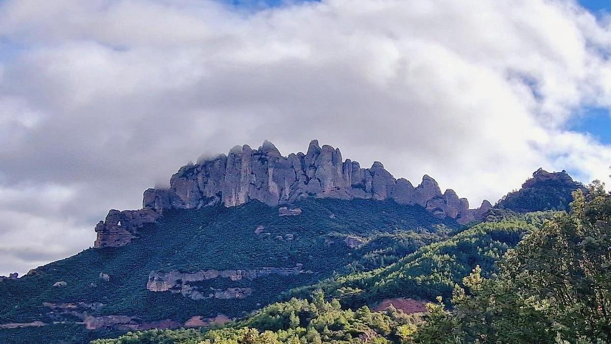 Montserrat des del bosc de les creus.