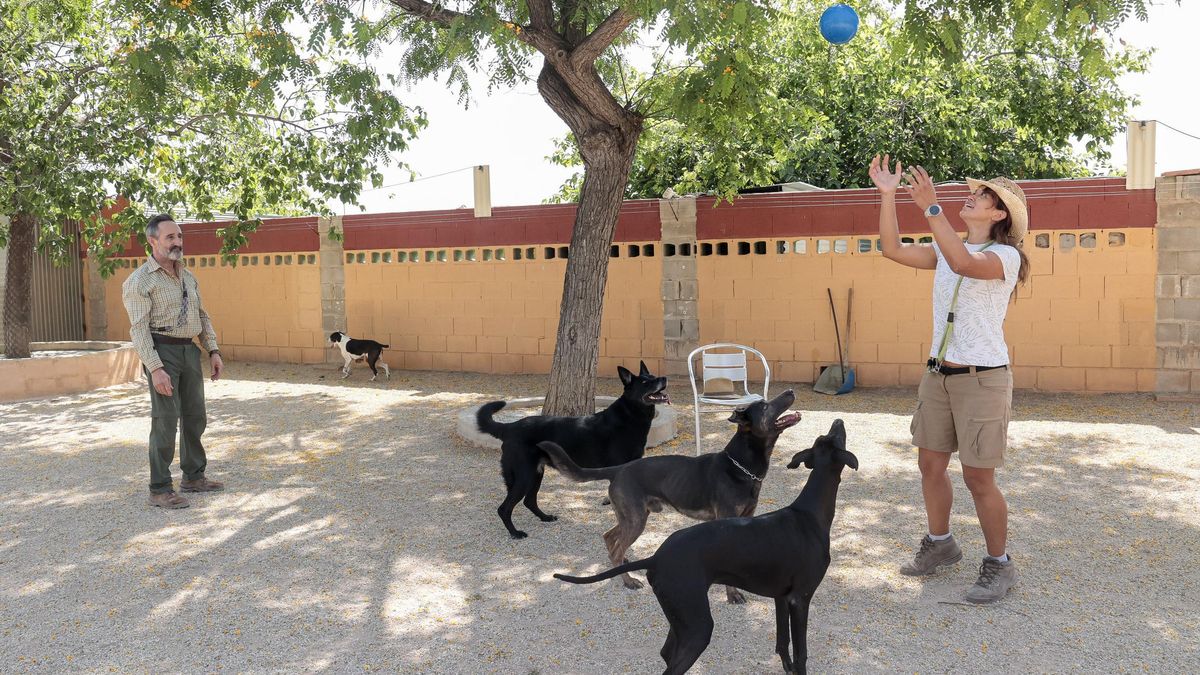 Hotel para perros Akra-Can