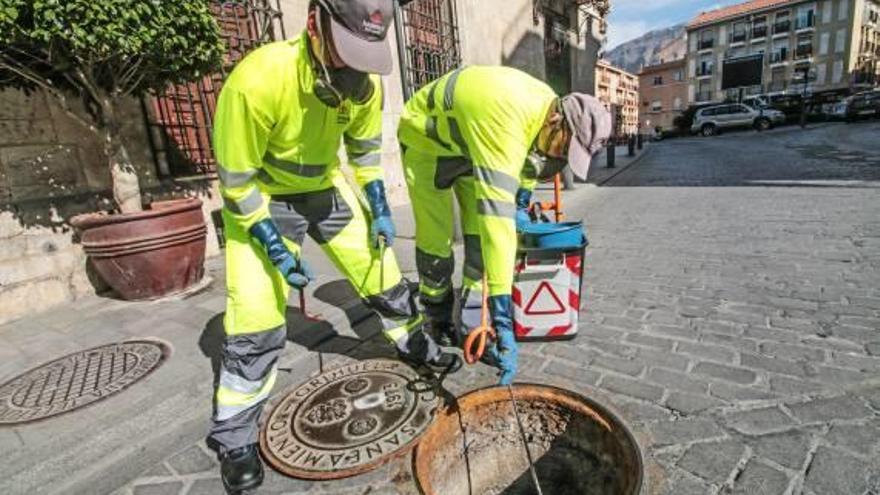 Campaña contra ratas y cucarachas en Orihuela