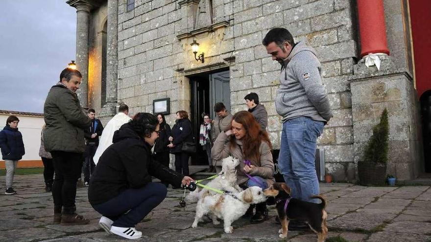 Bendición de animales en el Santuario de O Corpiño