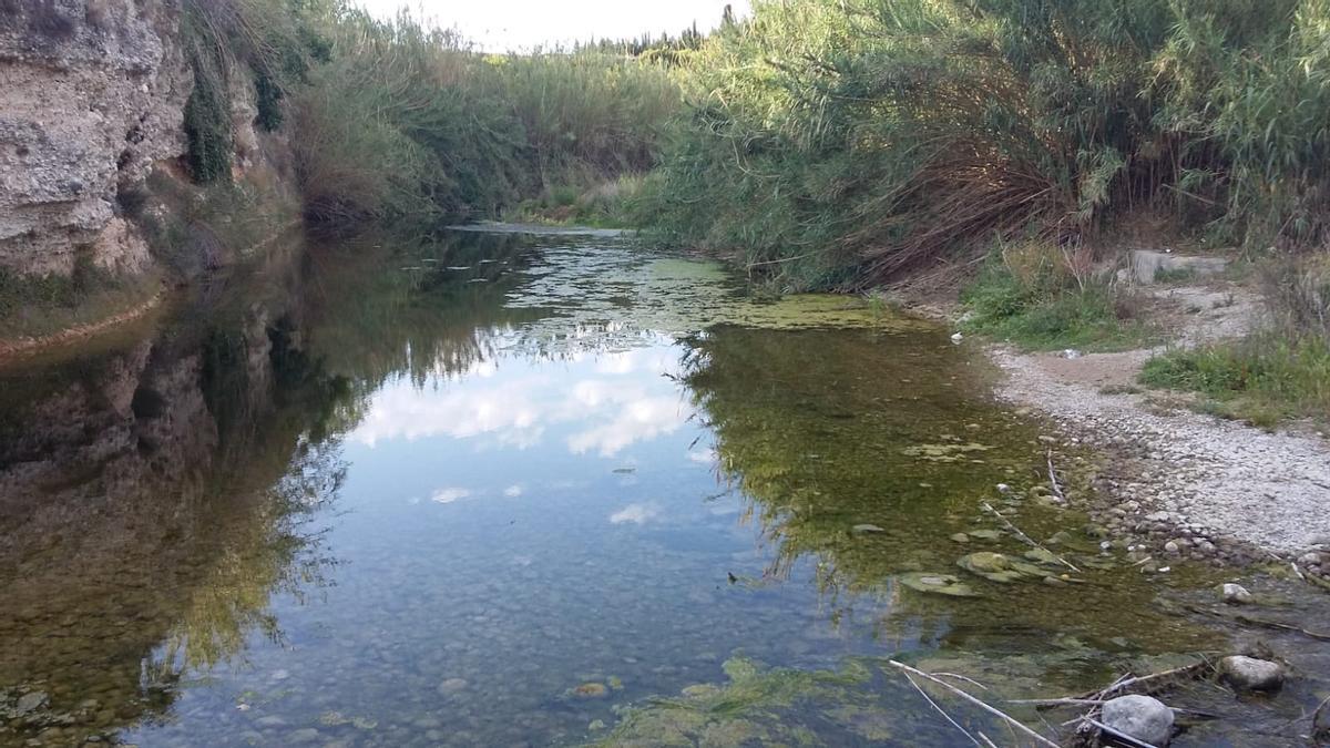 Así (de mal) están los ríos Serpis y Vernissa por la sequía Así (de mal) están los ríos Serpis y Vernissa por la sequía