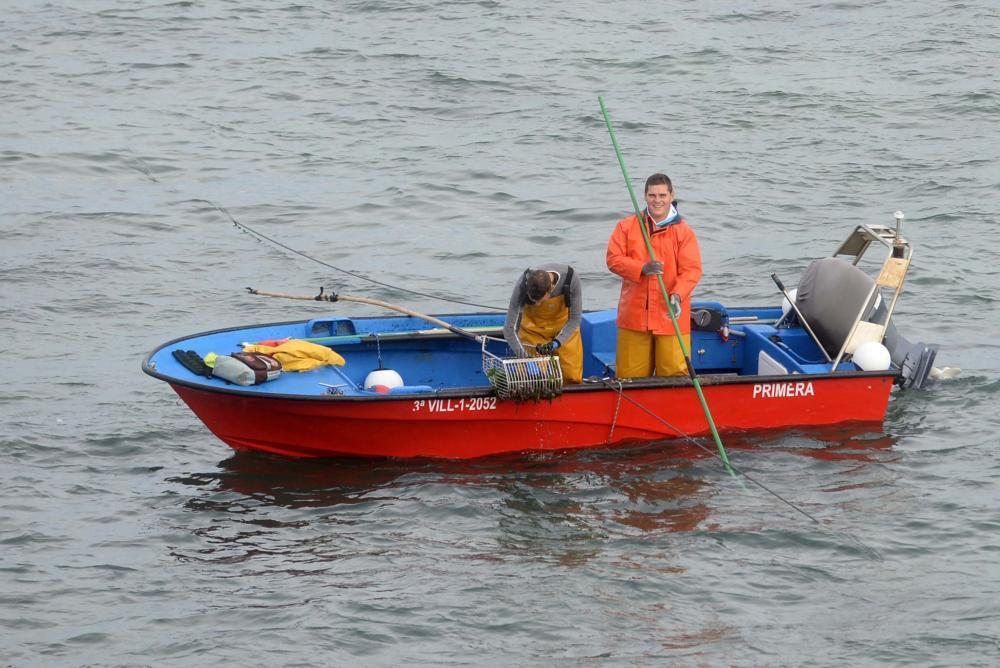 Libre marisqueo bajo el puente de A Illa