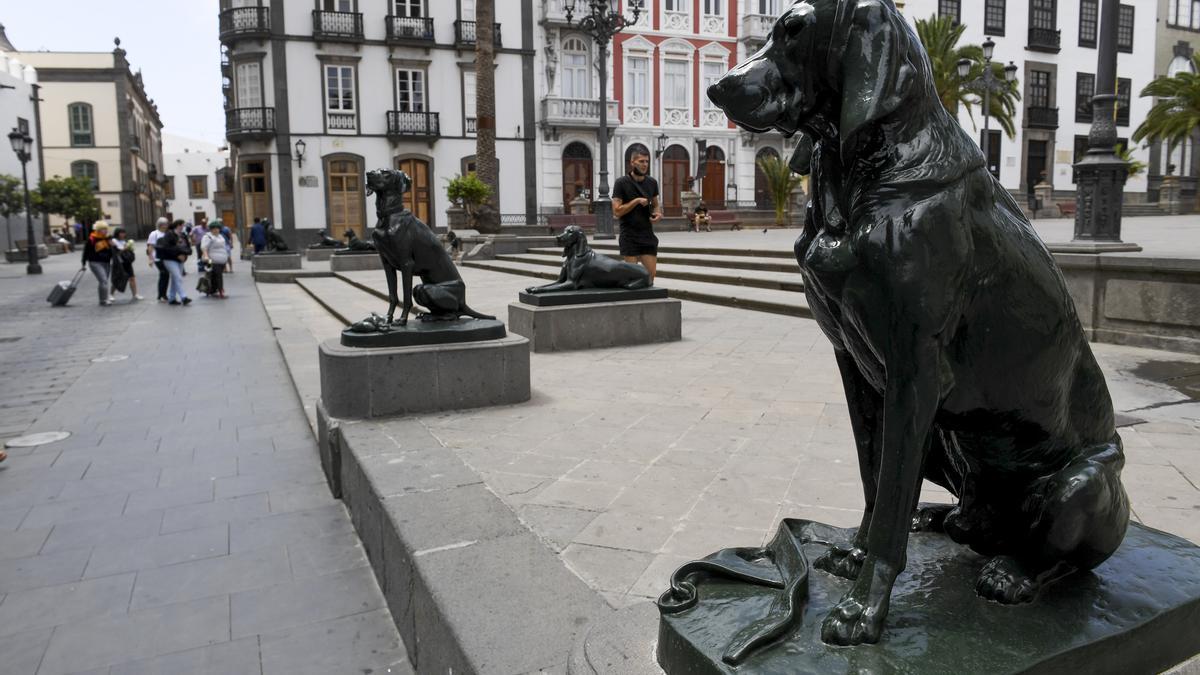 Uno de los famosos perros de la plaza de Santa Ana, en Vegueta