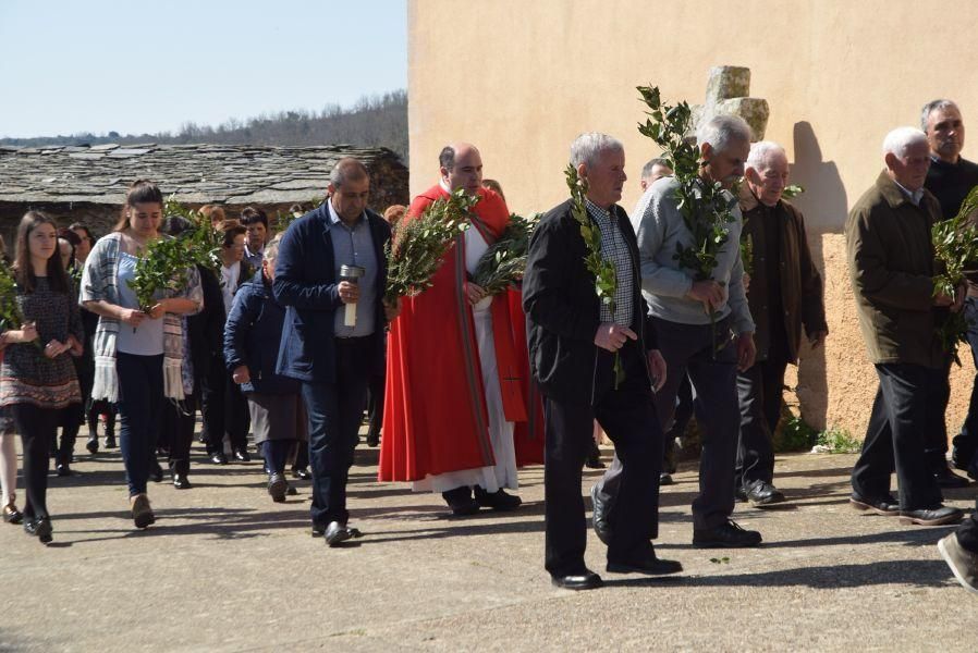 Semana Santa de Bercianos: Domingo de Ramos