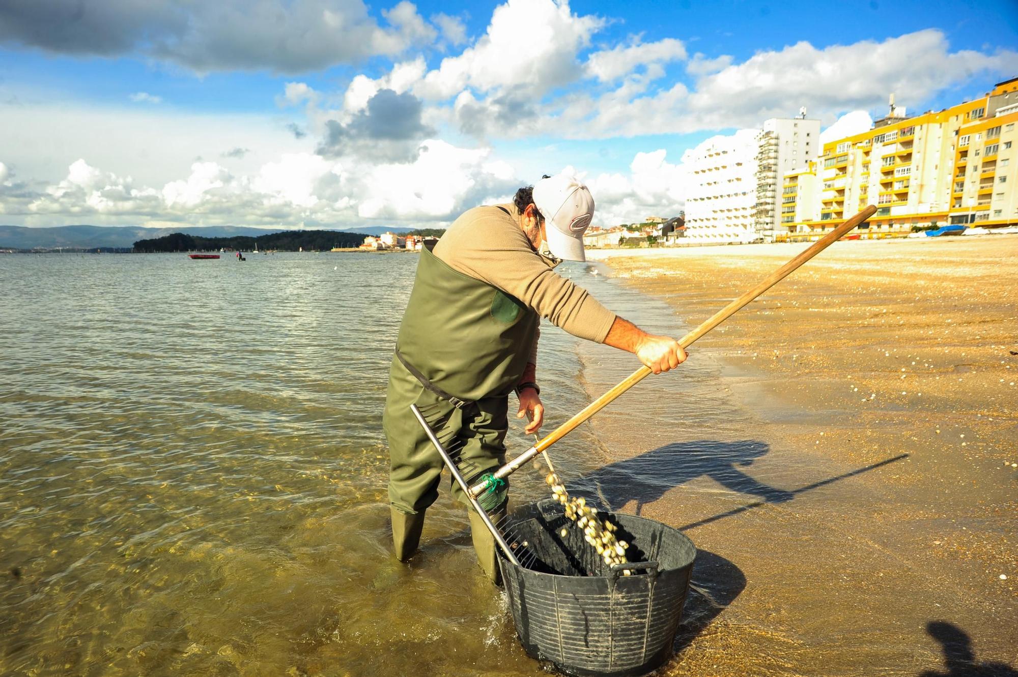 Las mariscadoras de Carril, al rescate de bivalvos en la playa de Compostela