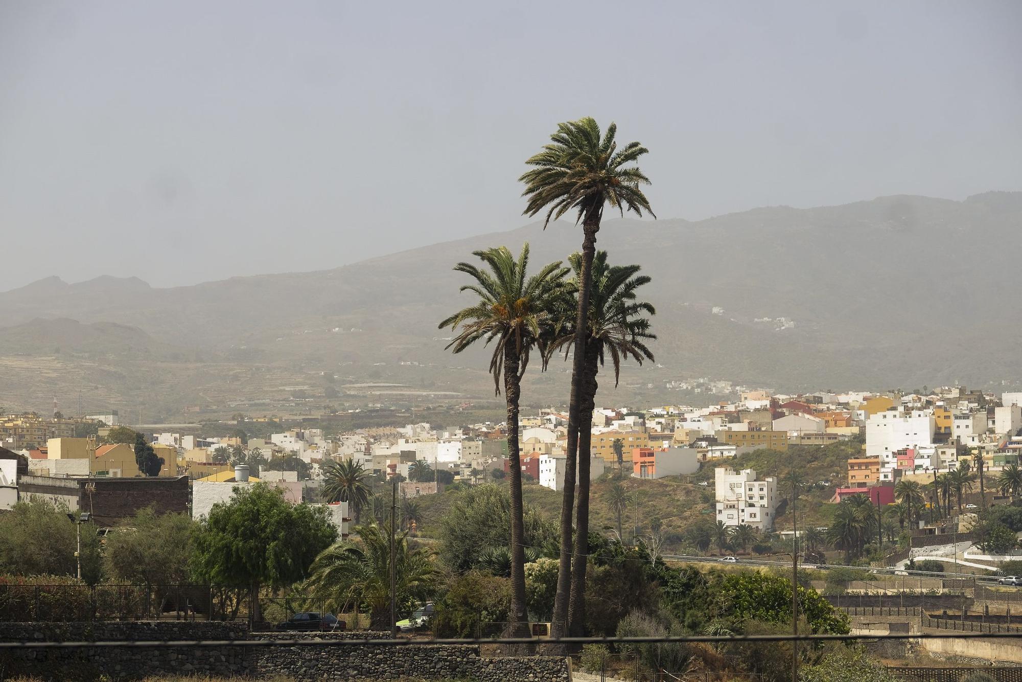 Tiempo en Gran Canaria (11/04/23)