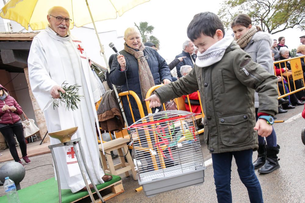 Fiesta de Sant Antoni en la ermita de vera