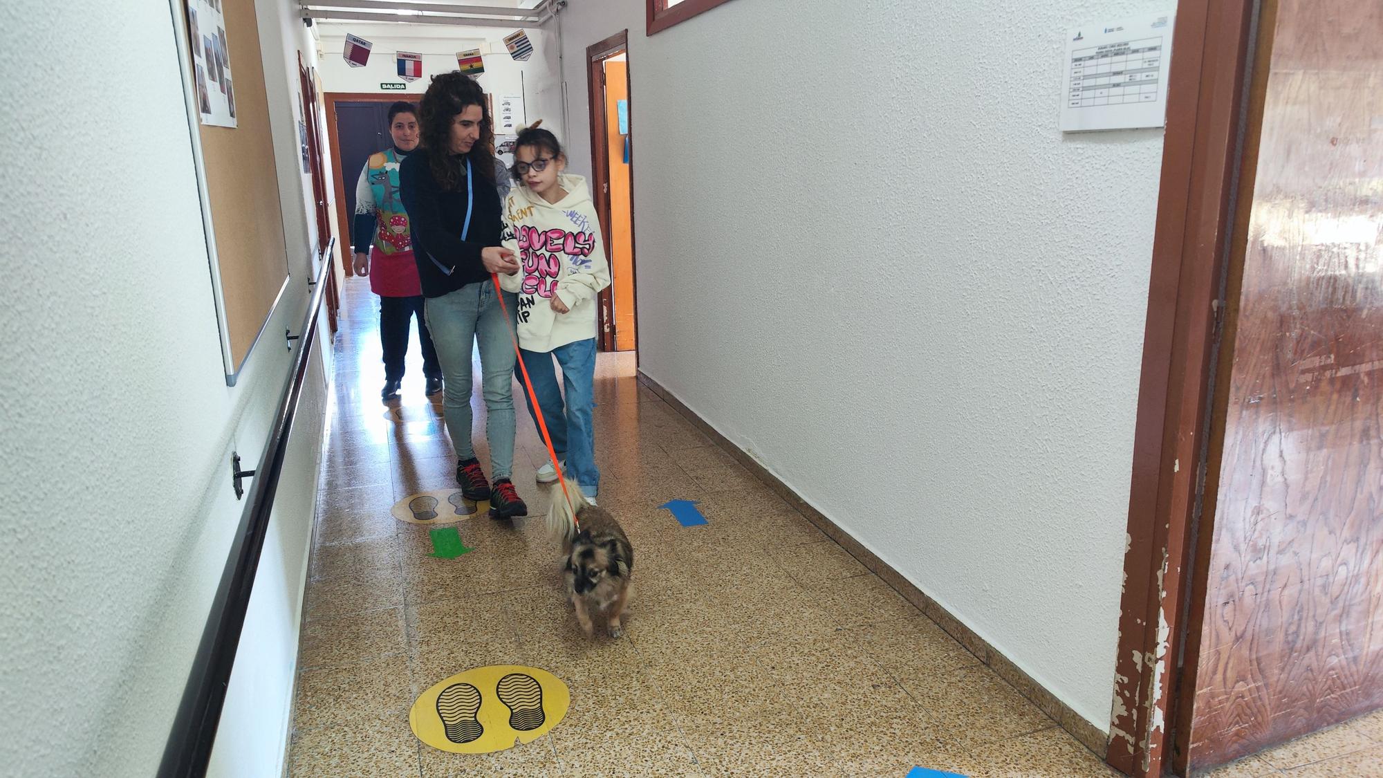 La terapia canina en Santullano, en imágenes