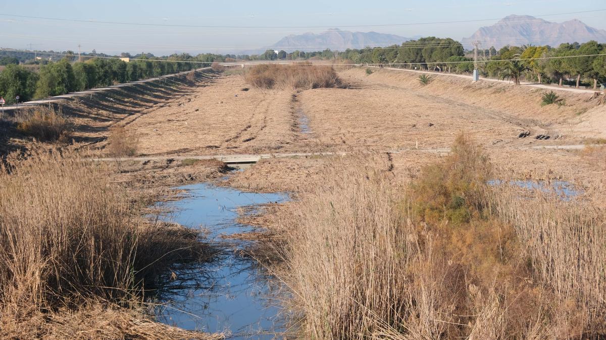 Cauce nuevo del Segura tras la última retirada de cañas a antes del puente de la N-332