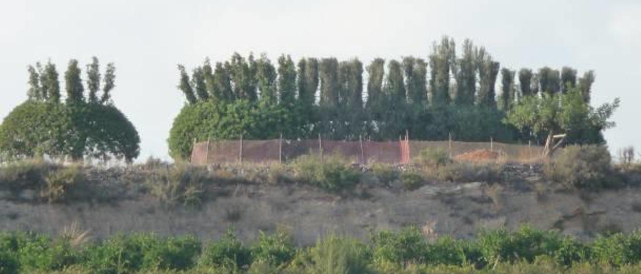 Un «parany» situado en una finca de Castelló.