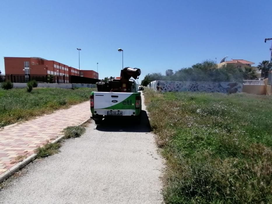 El Ayuntamiento despliega un plan de choque contra los mosquitos que este año es más intensa tras un largo periodo de lluvias primaverales que ha anegado las orillas de la laguna de Torrevieja