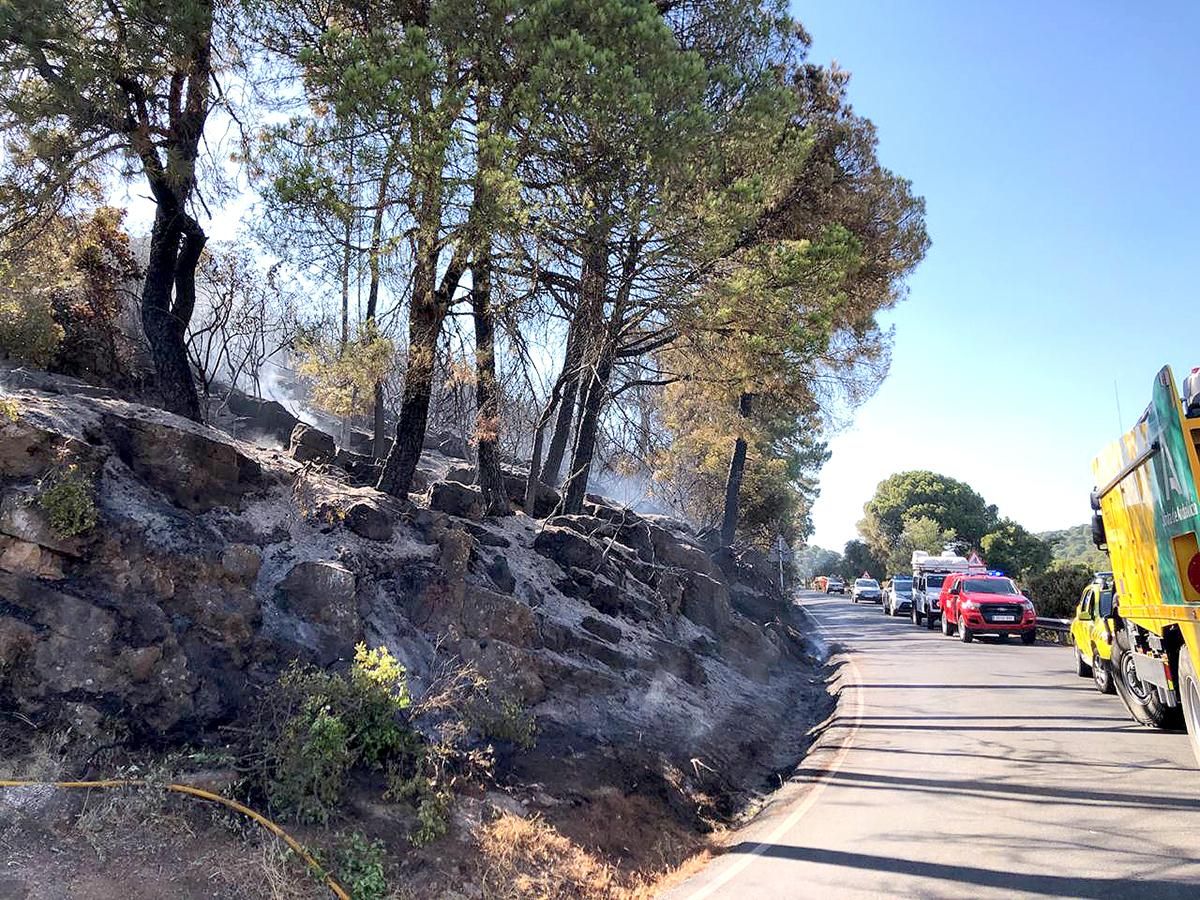 Incendio forestal en la sierra de Córdoba